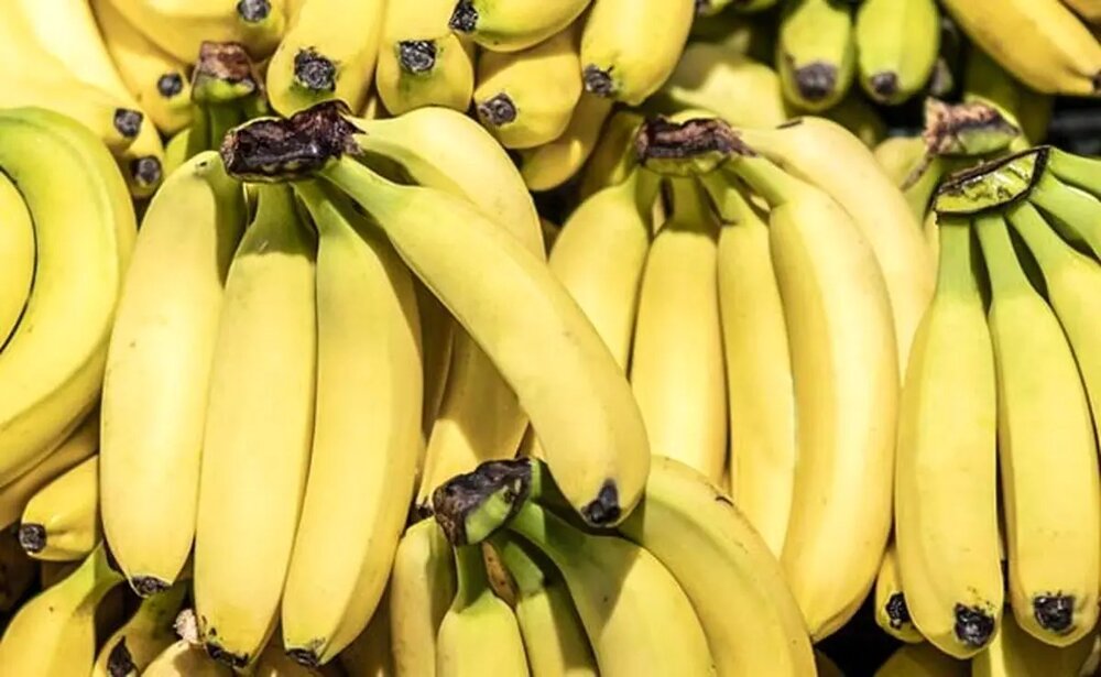 Wp Header Logo 1494.png