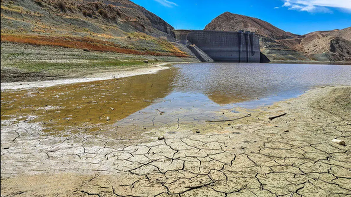 Wp Header Logo 1509.png