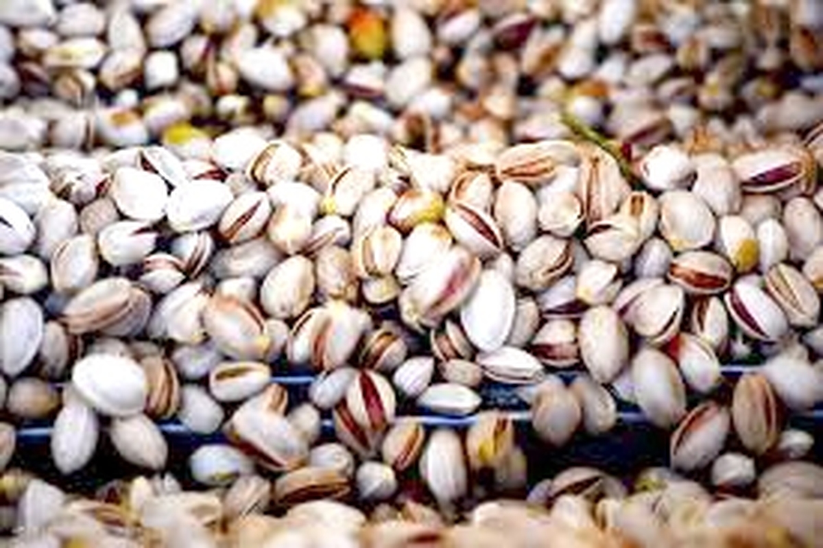 Wp Header Logo 1519.png