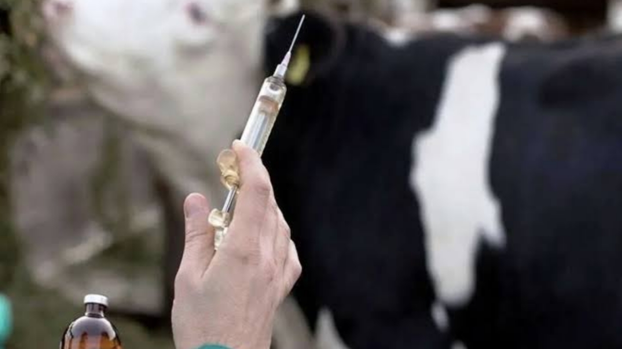 Wp Header Logo 1641.png