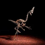 حراج اسکلت نادر یک دایناسور