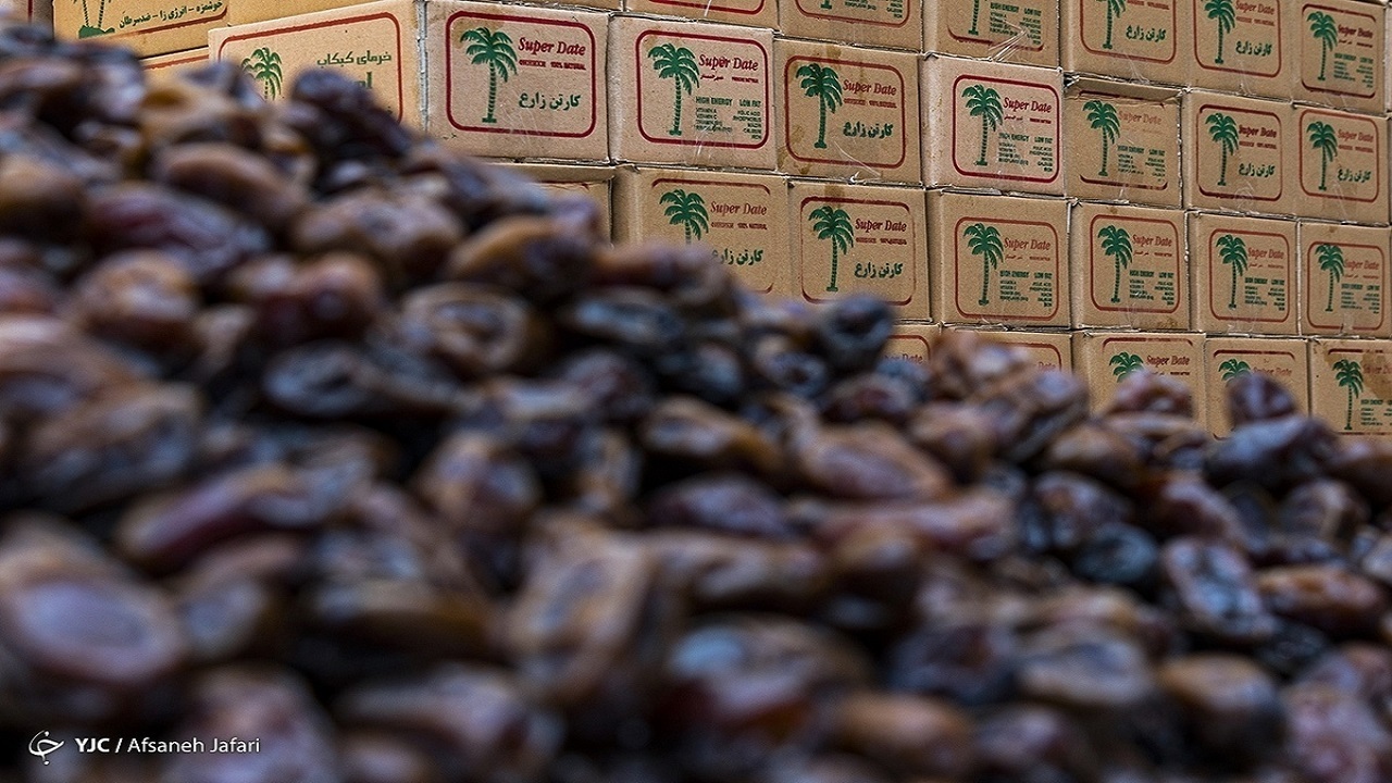 Wp Header Logo 1753.png