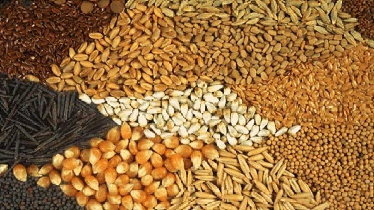 Wp Header Logo 2190.png