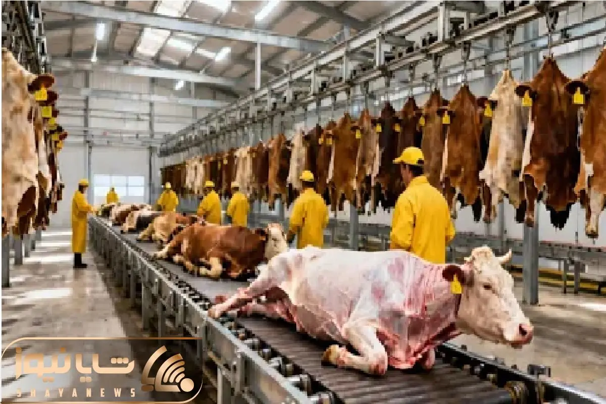 Wp Header Logo 2279.png