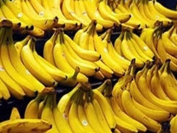 Wp Header Logo 2314.png