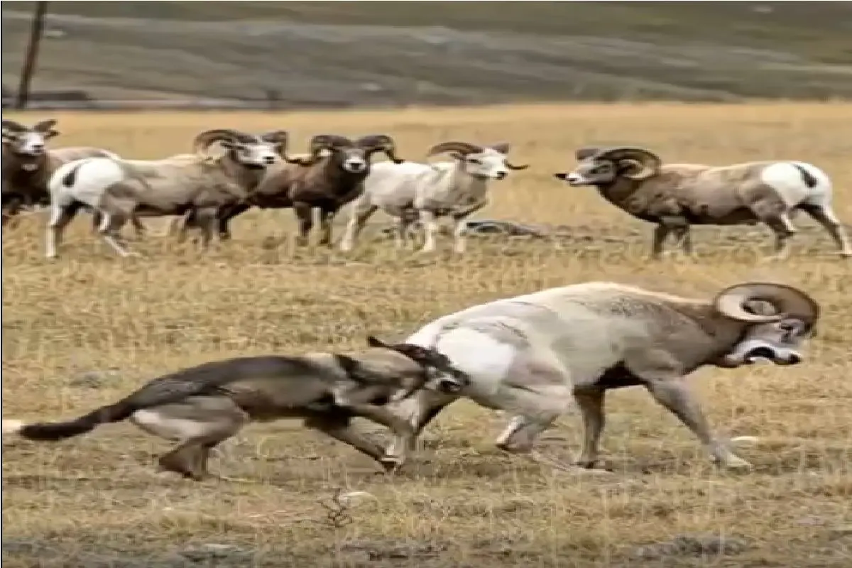 Wp Header Logo 2366.png