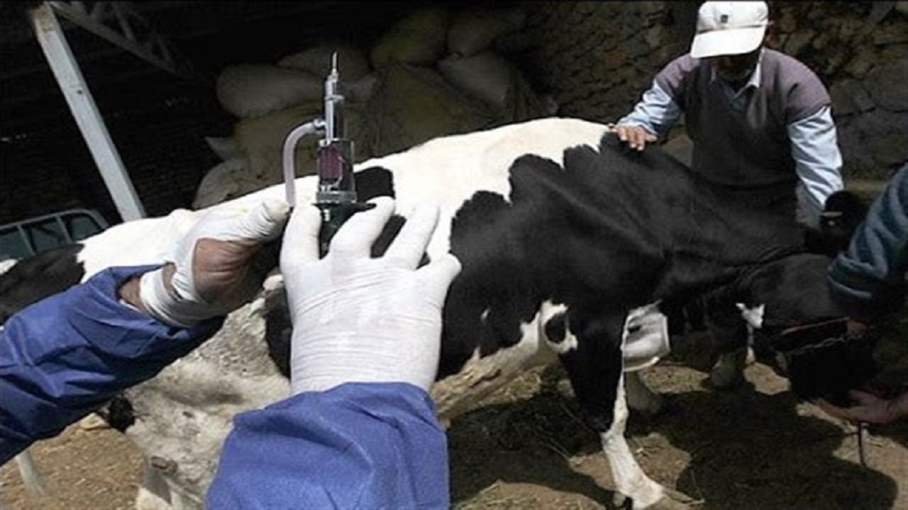 Wp Header Logo 2436.png