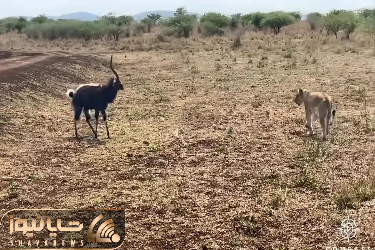 Wp Header Logo 2489.png