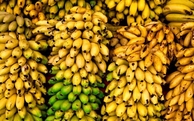 Wp Header Logo 2491.png