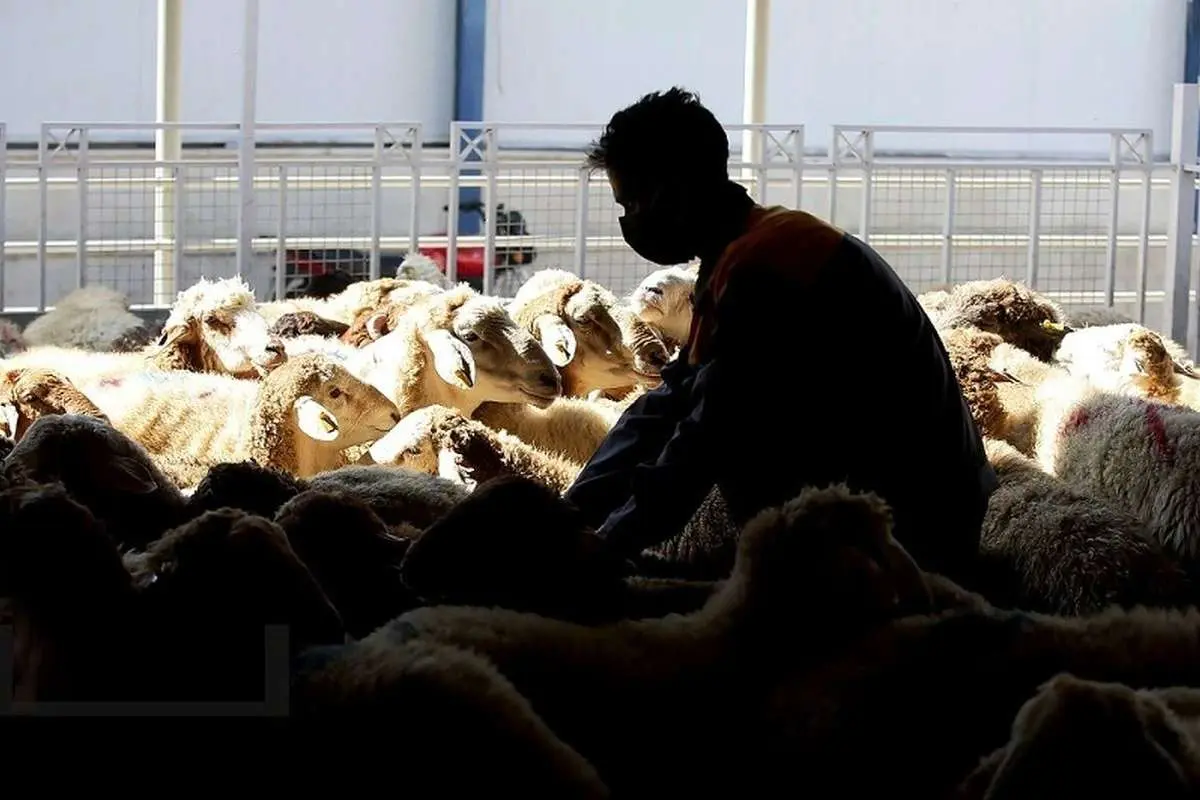 Wp Header Logo 2493.png