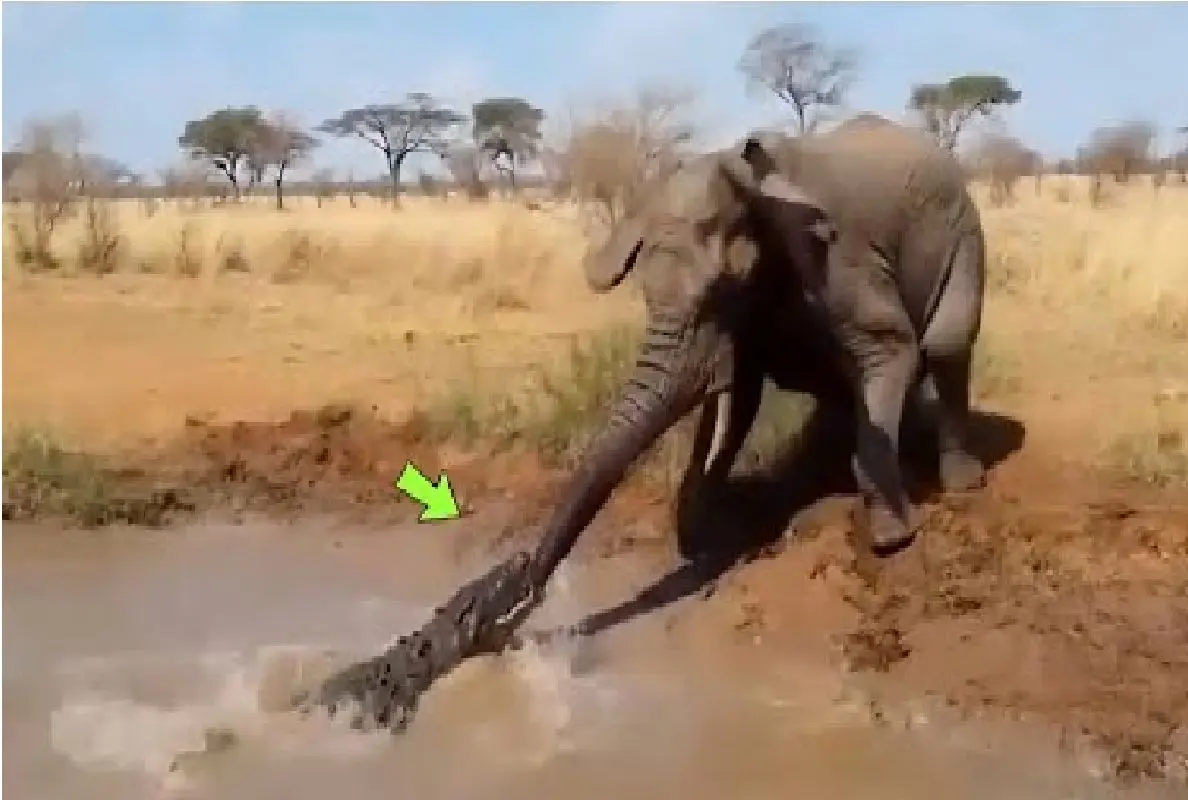 Wp Header Logo 2557.png