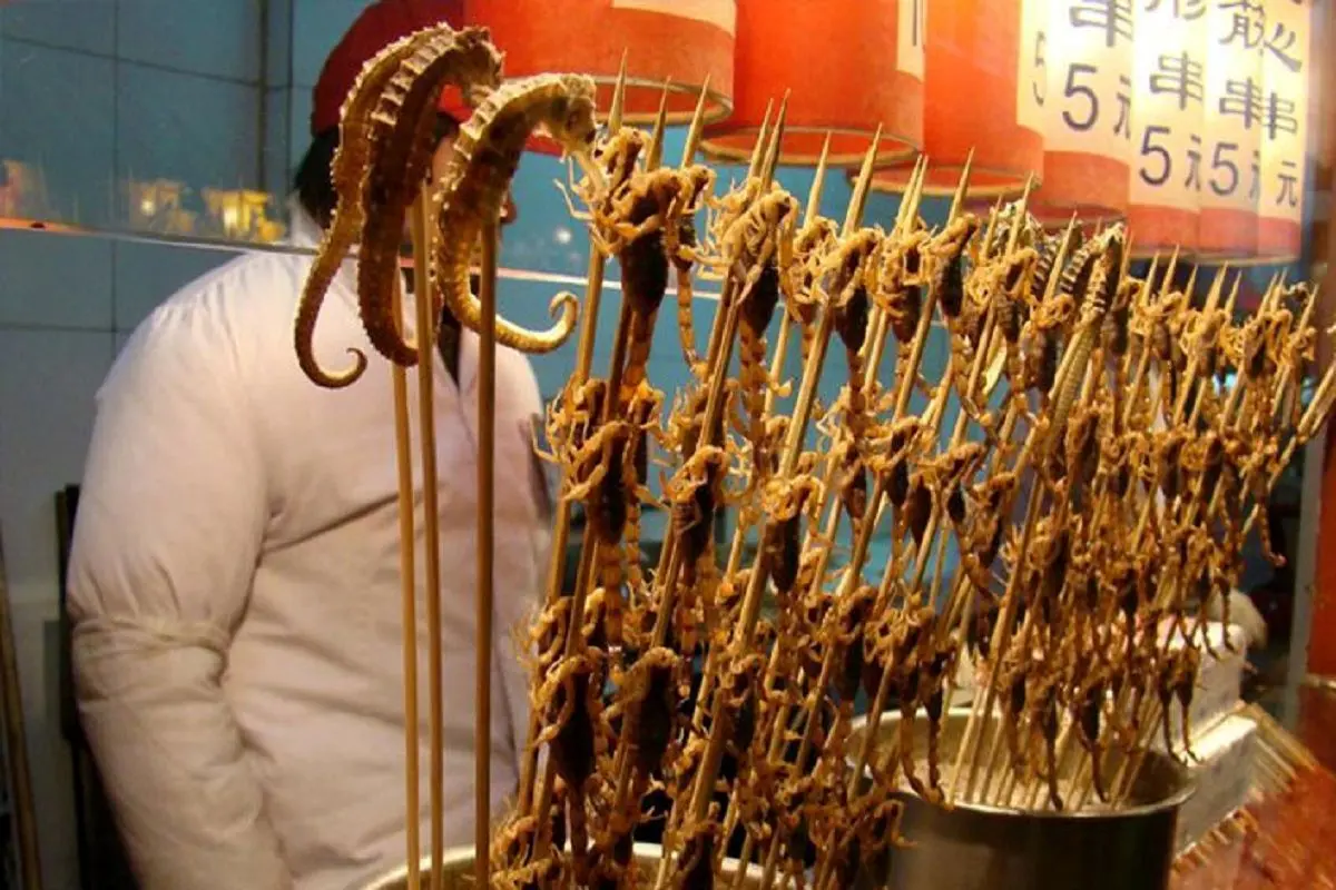 Wp Header Logo 2629.png