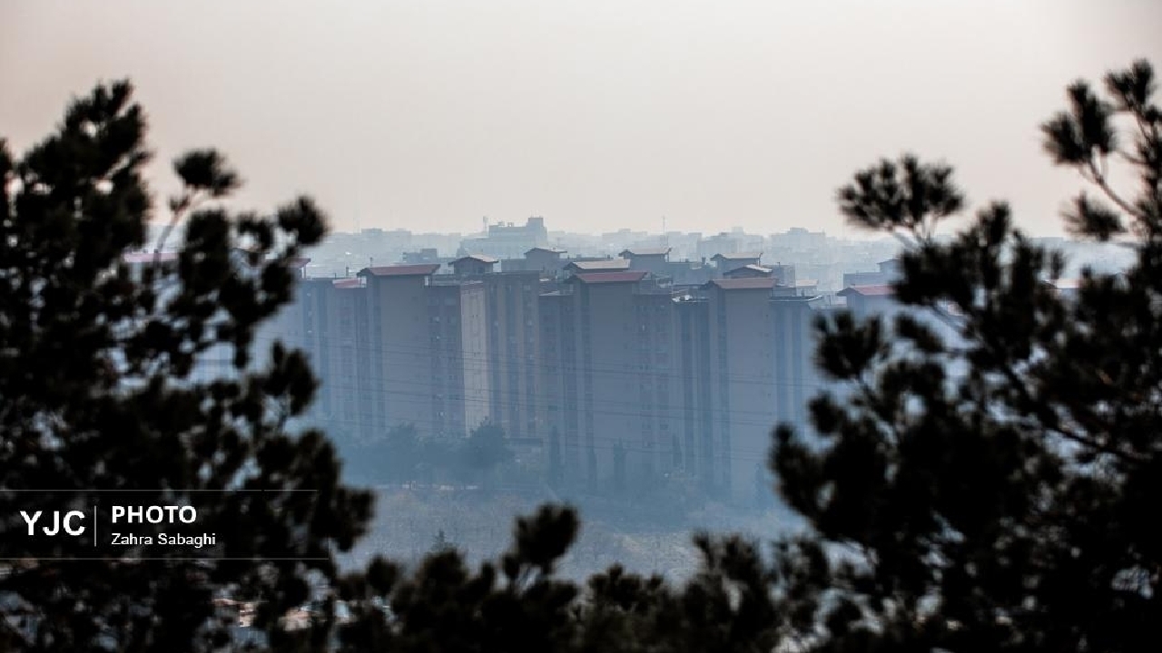 Wp Header Logo 2640.png