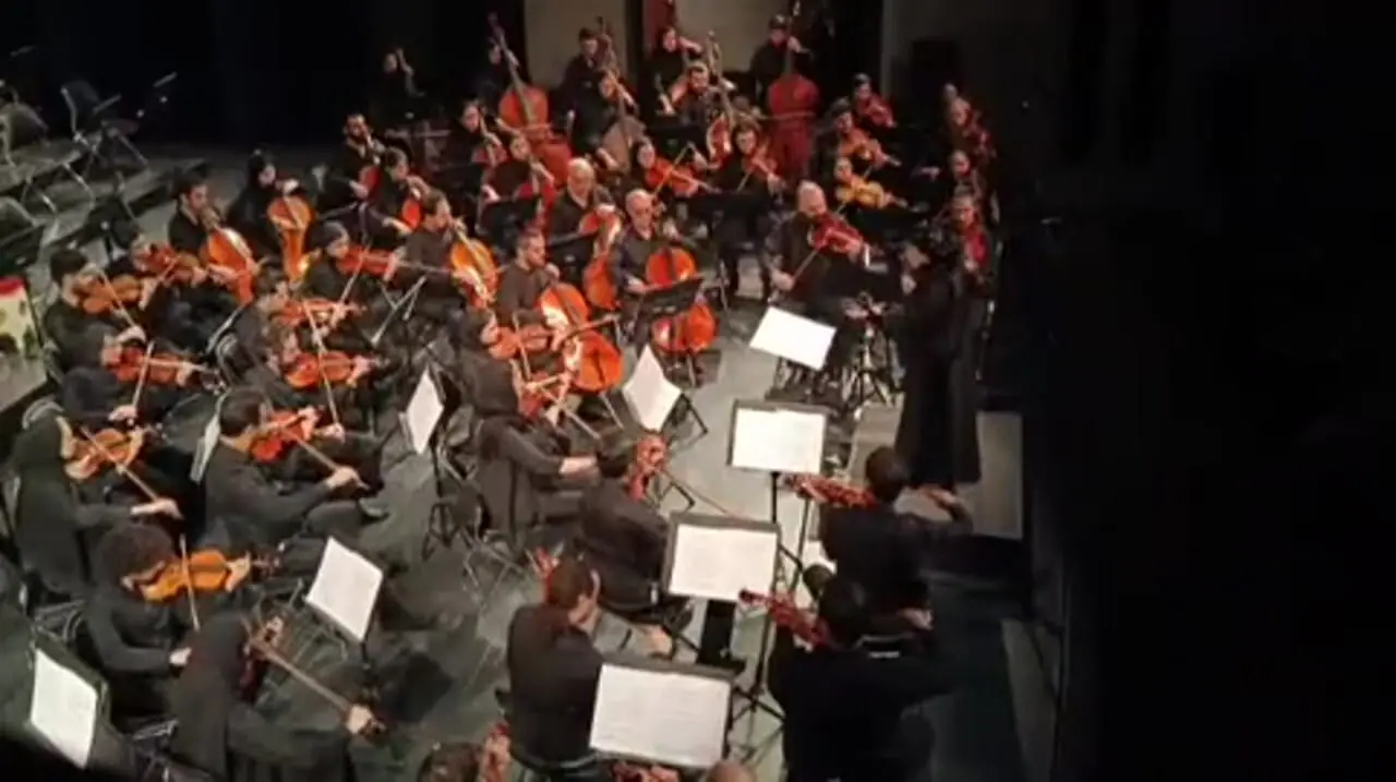 Wp Header Logo 2641.png