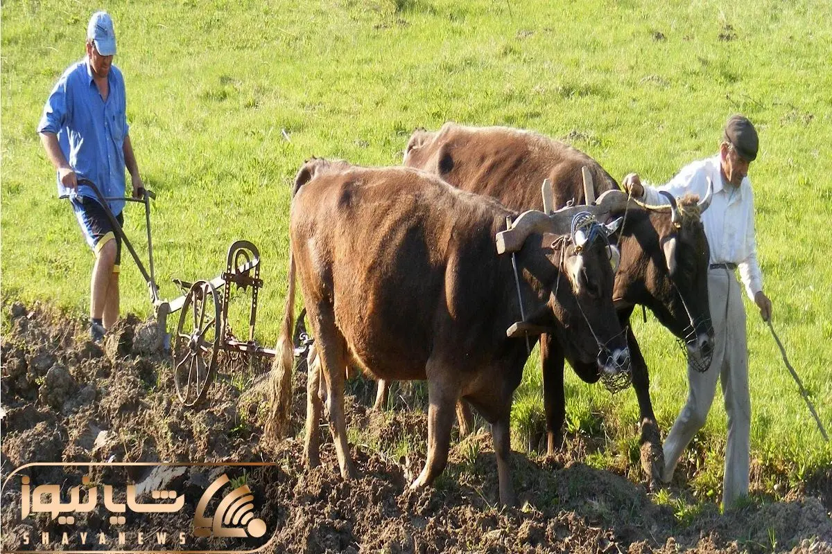 Wp Header Logo 2715.png