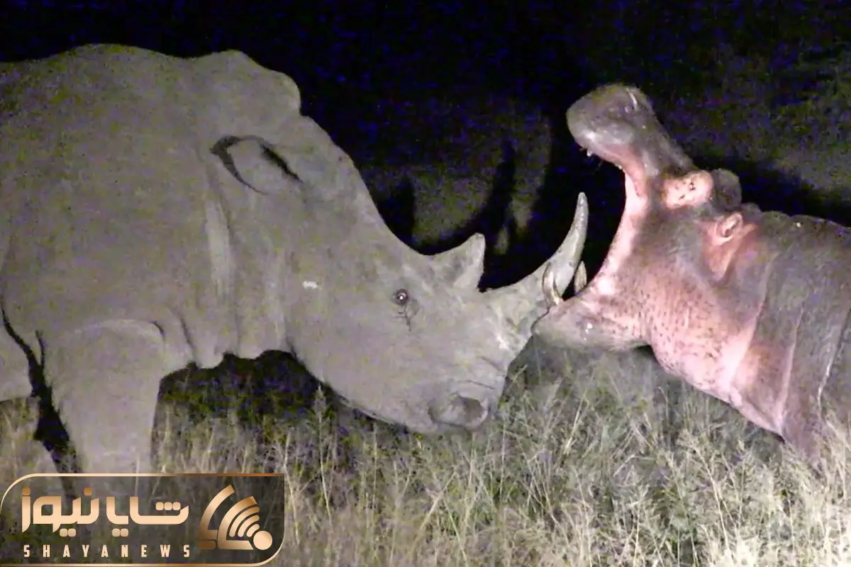 Wp Header Logo 2740.png