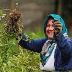 وقتی خشکسالی هم جلوی زنان روستایی را نمی گیرد…