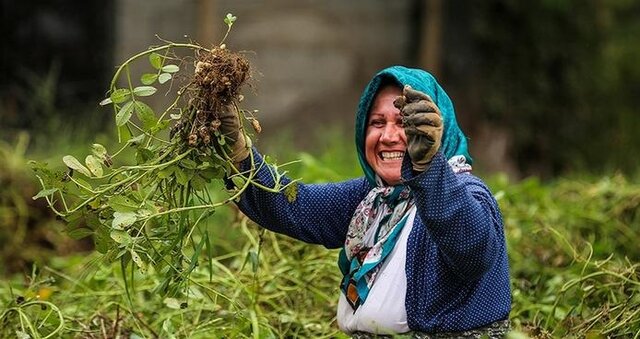 Wp Header Logo 2769.png