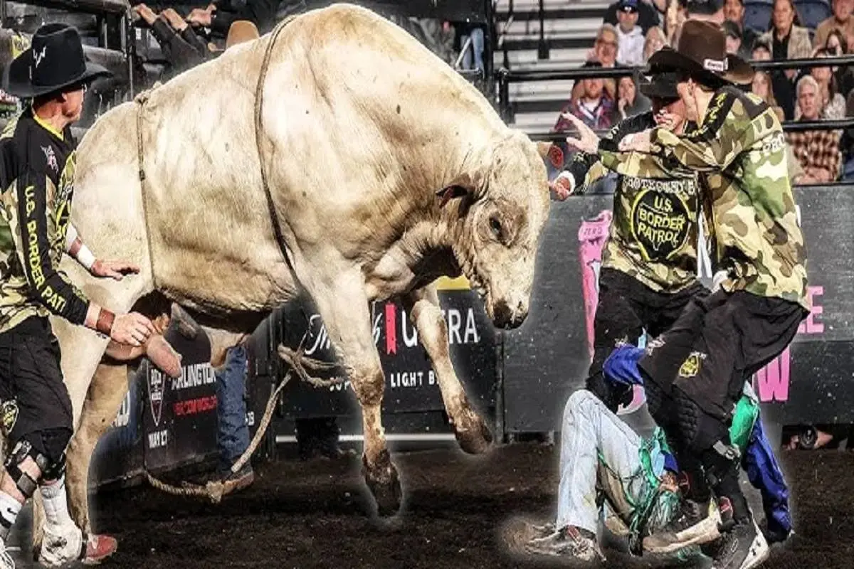 Wp Header Logo 2858.png