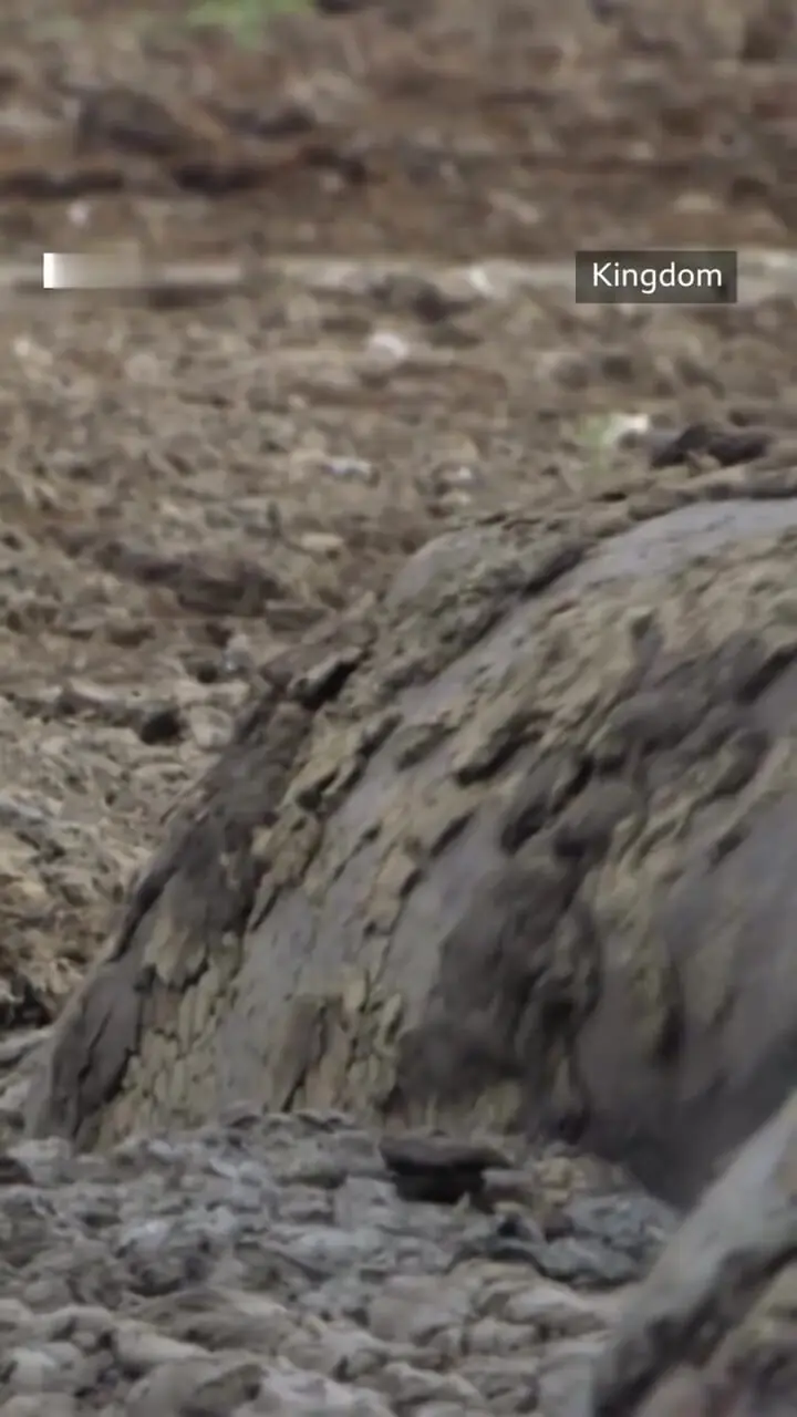 Wp Header Logo 2885.png