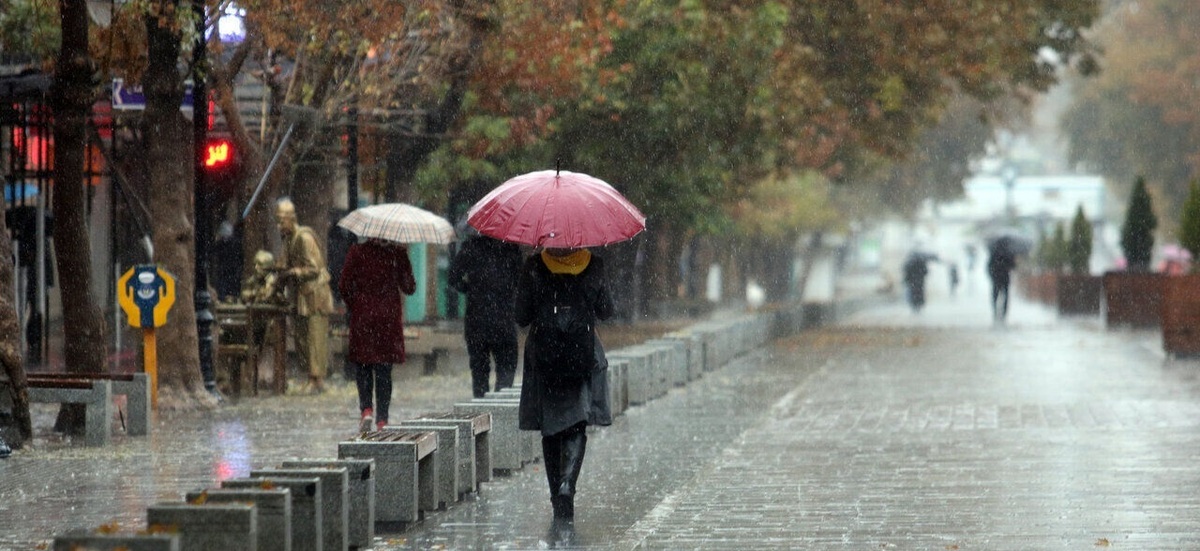 Wp Header Logo 2903.png