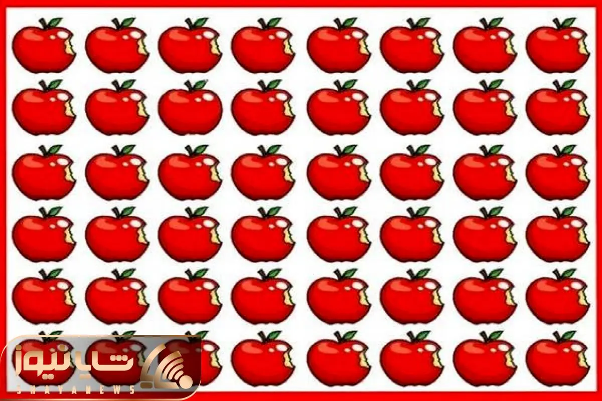 Wp Header Logo 2957.png