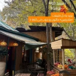 استایل پاییزی الناز شاکردوست در دل طبیعت؛ بزنید از خونه بیرون!