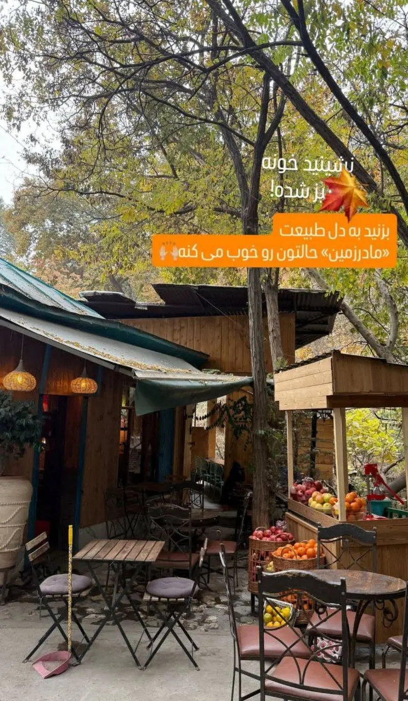 Wp Header Logo 2982.png