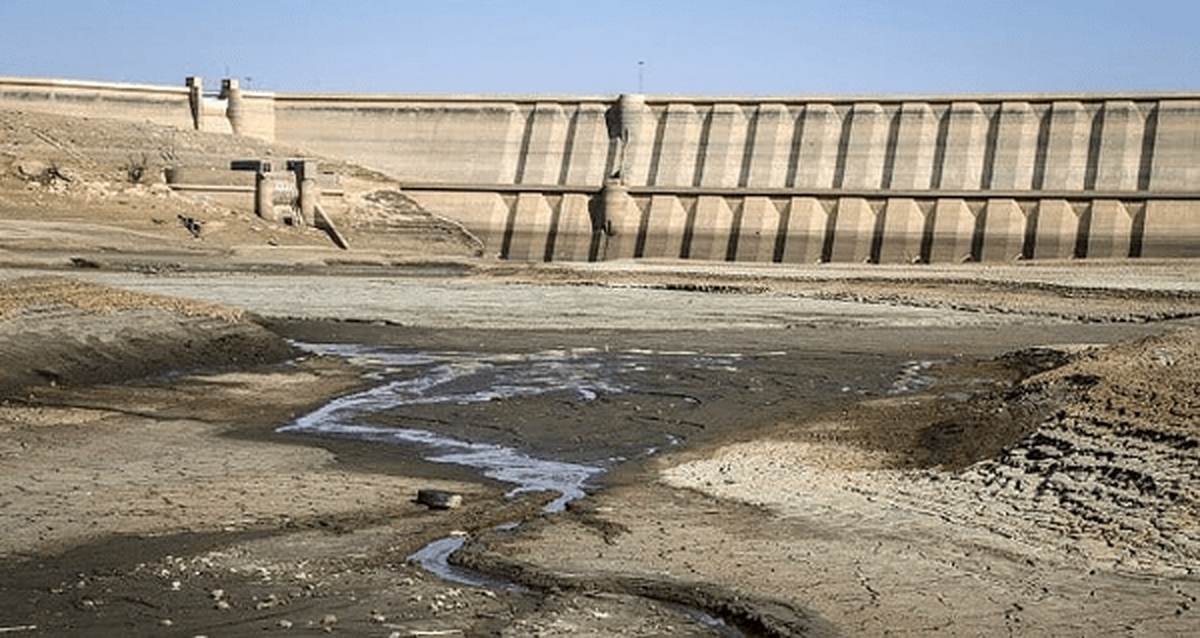 Wp Header Logo 2987.png