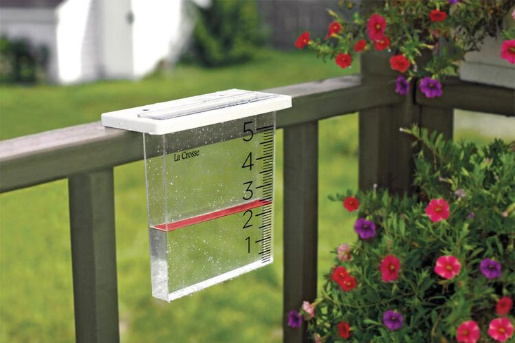 Wp Header Logo 3009.png