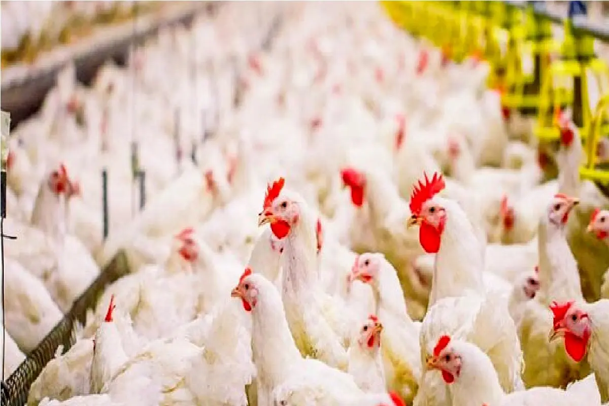 Wp Header Logo 3037.png