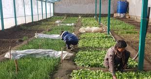 Wp Header Logo 3041.png