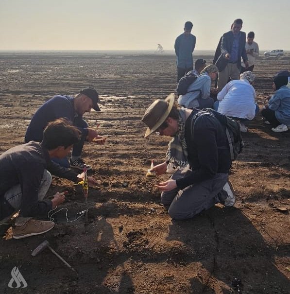 Wp Header Logo 3135.png