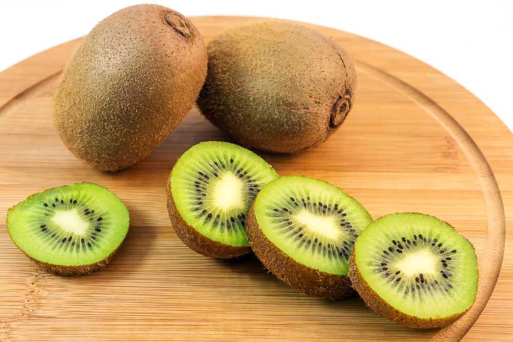 Wp Header Logo 3154.png