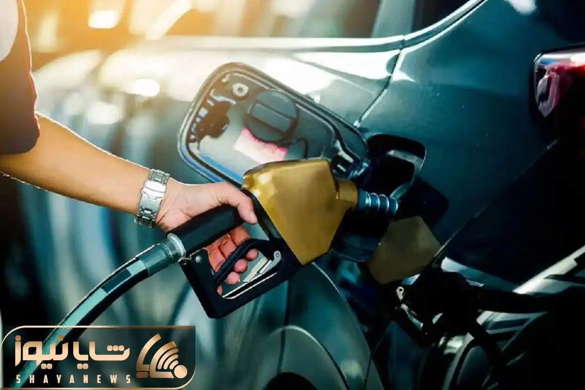 Wp Header Logo 3174.png