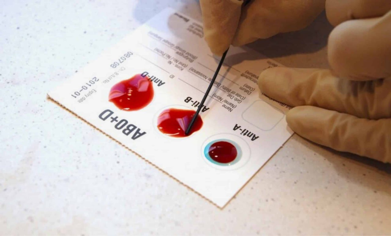 Wp Header Logo 322.png