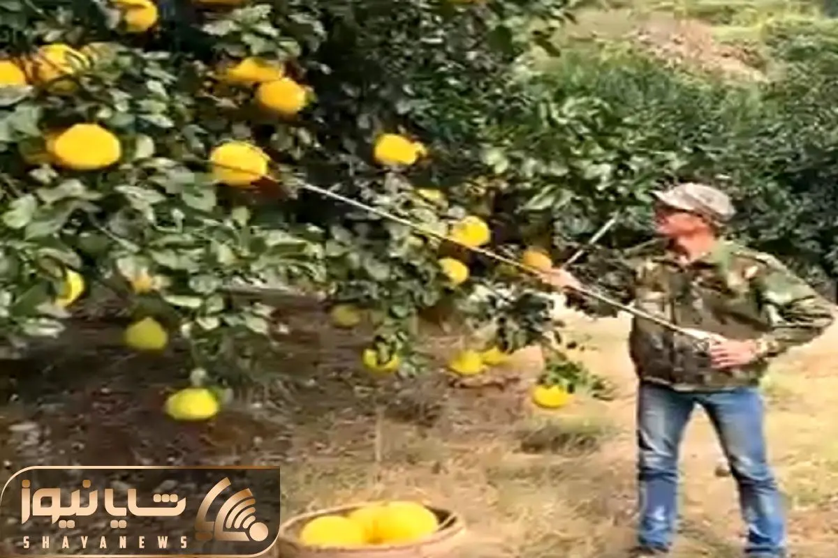 Wp Header Logo 3259.png