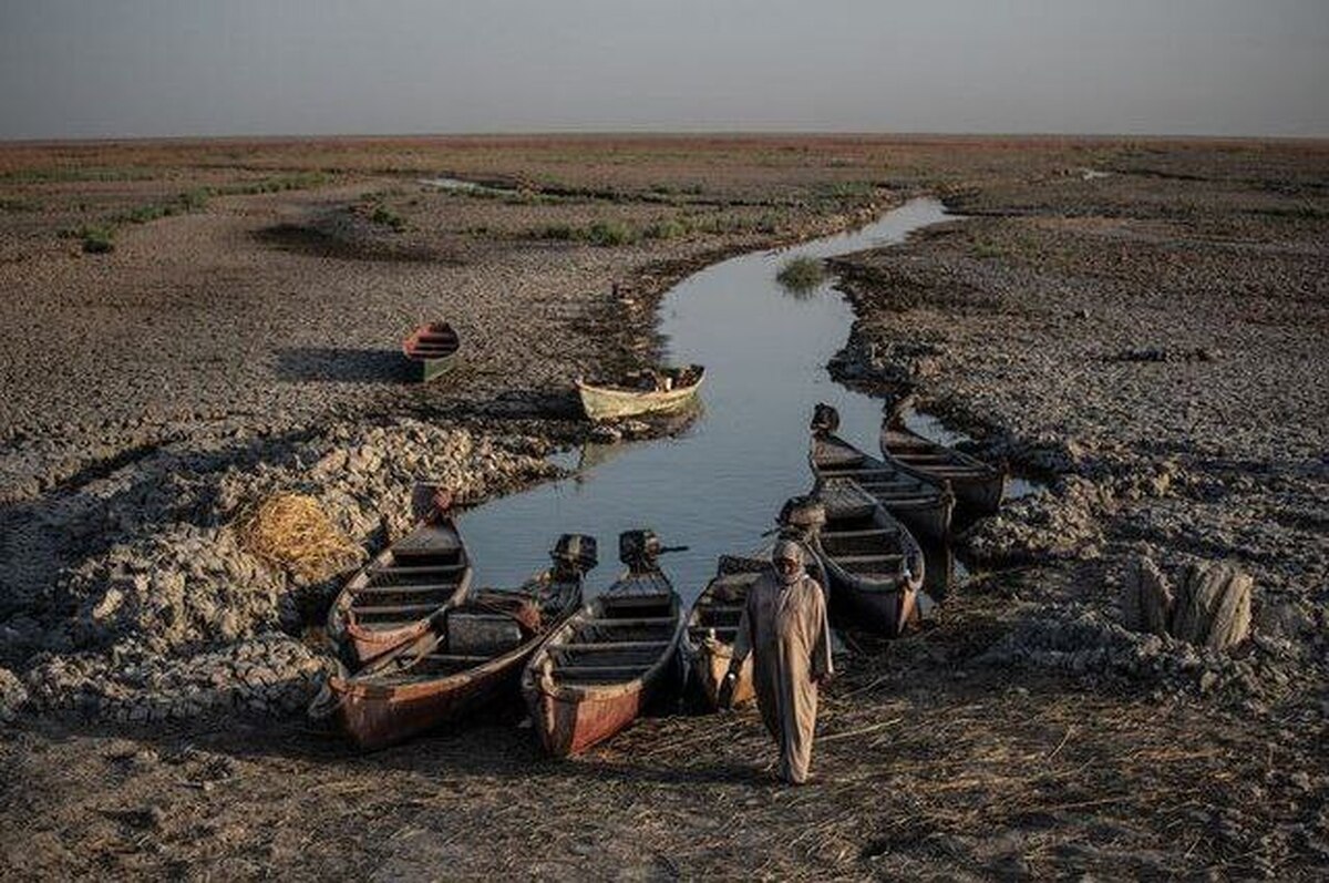 Wp Header Logo 3303.png