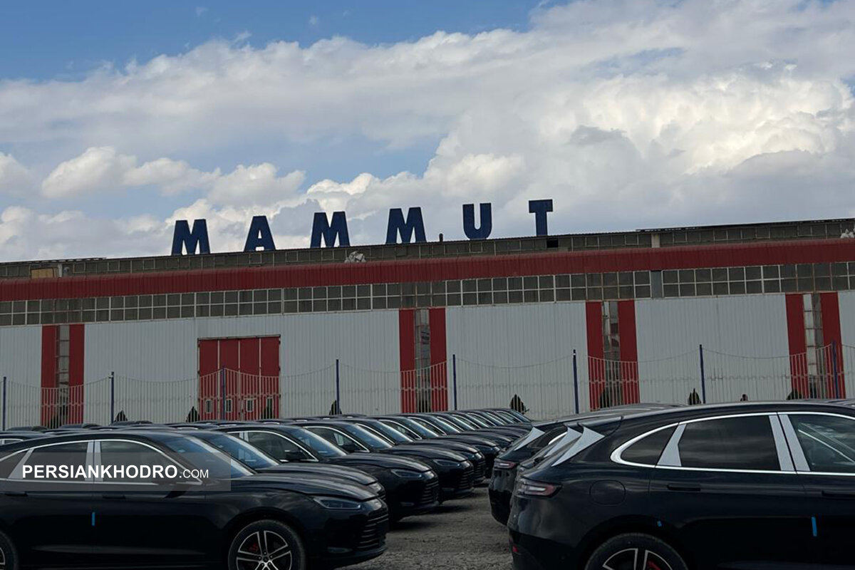 Wp Header Logo 3357.png