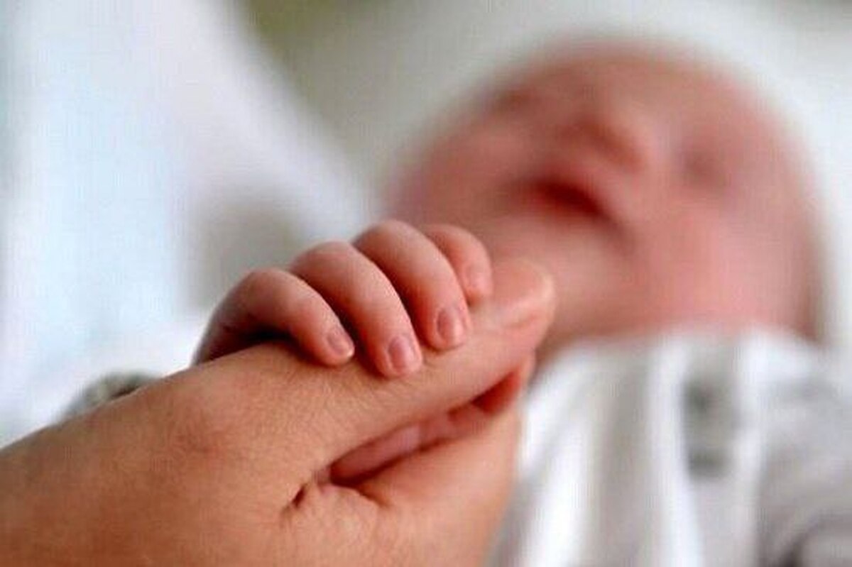 Wp Header Logo 3372.png