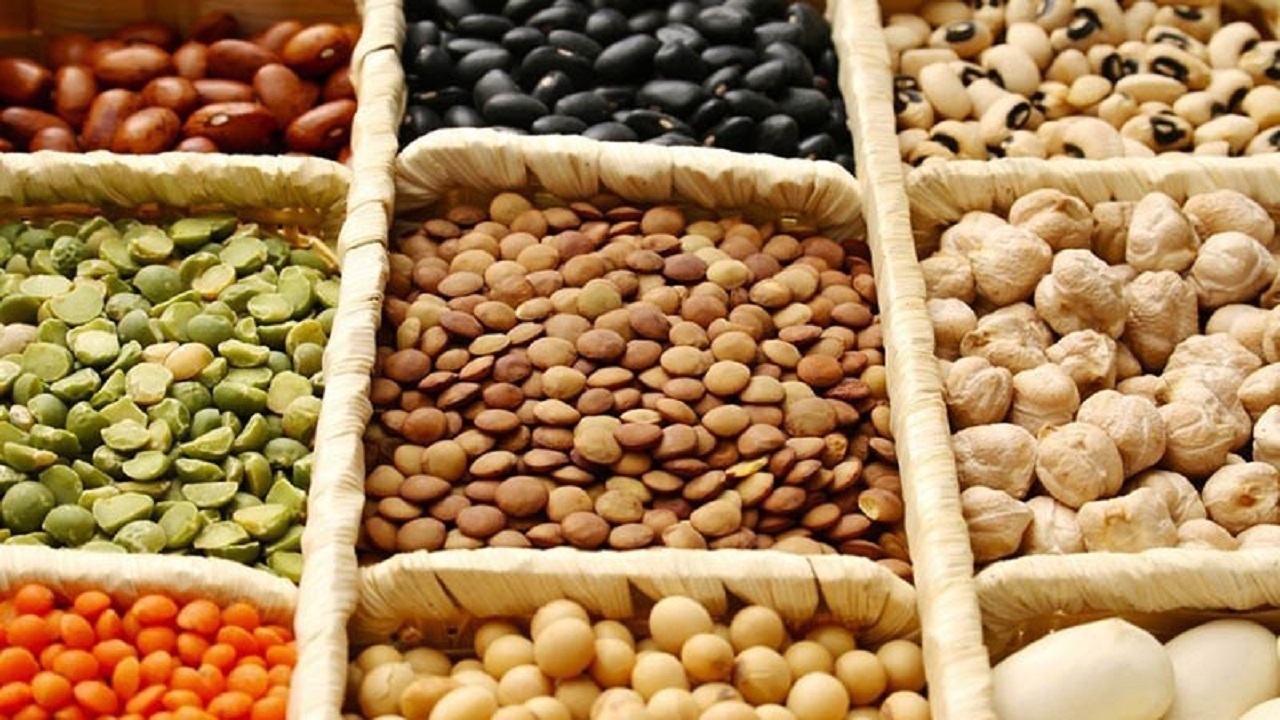 Wp Header Logo 3464.png