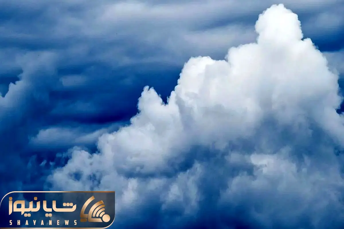 Wp Header Logo 3539.png