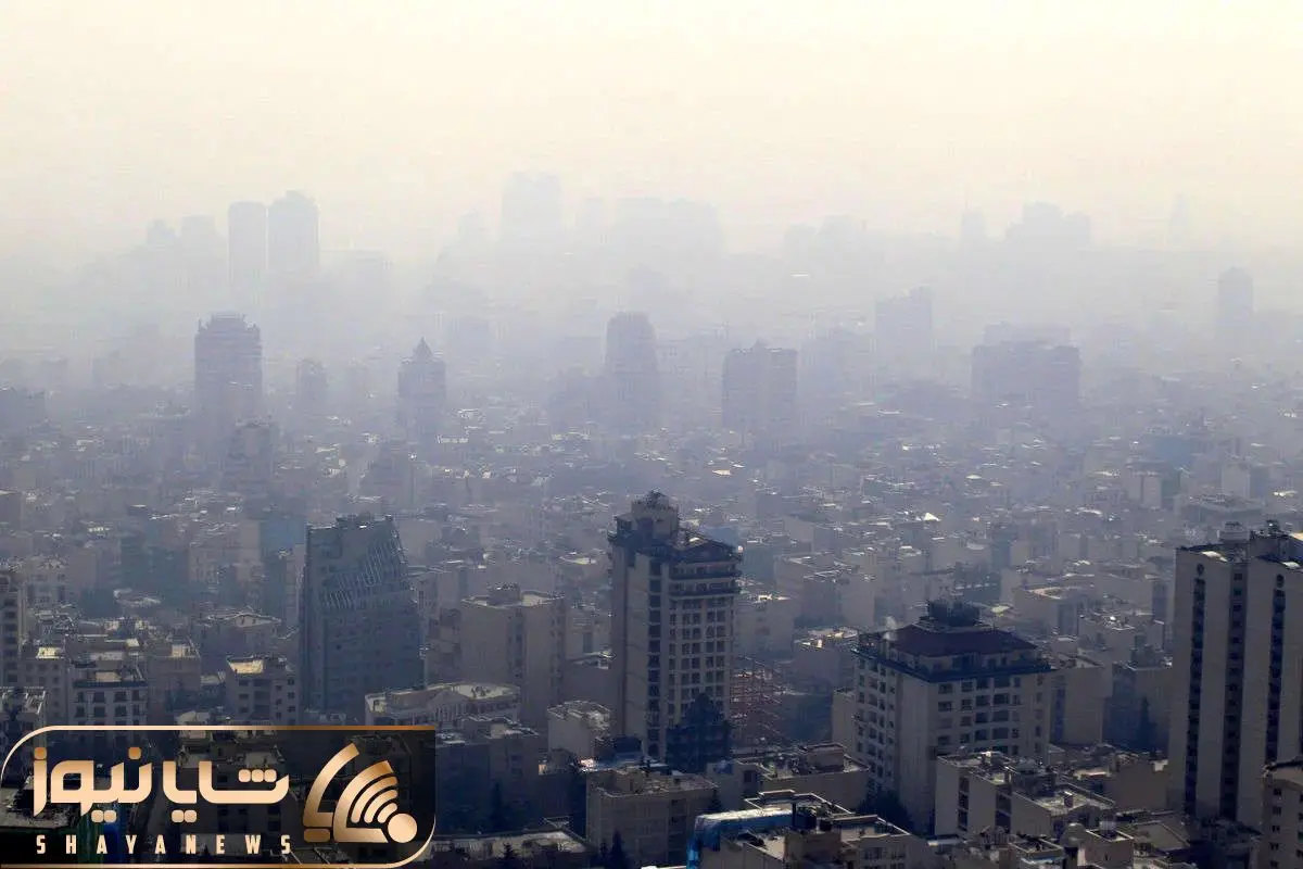 Wp Header Logo 3549.png