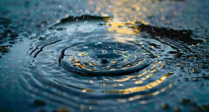 Wp Header Logo 3616.png