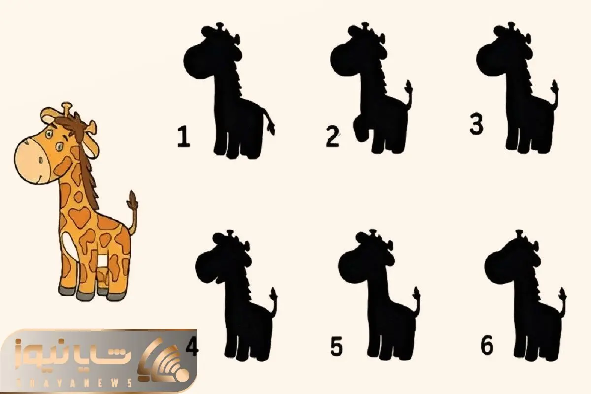 Wp Header Logo 3633.png