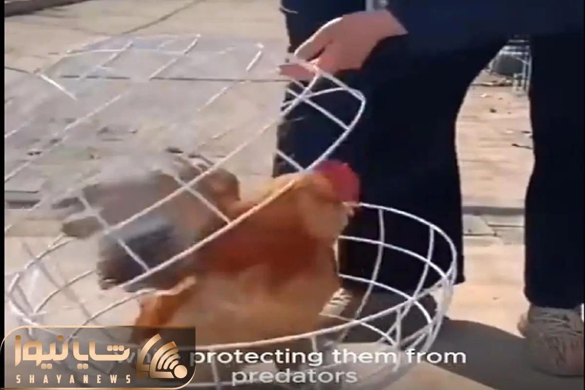 Wp Header Logo 3642.png