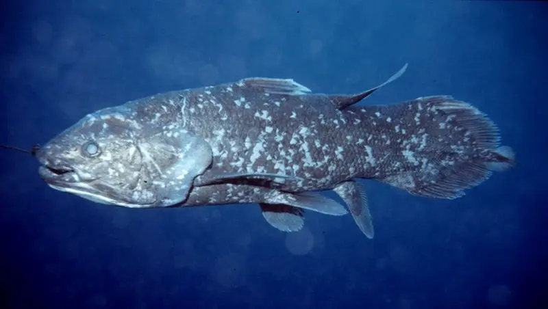 Wp Header Logo 3670.png