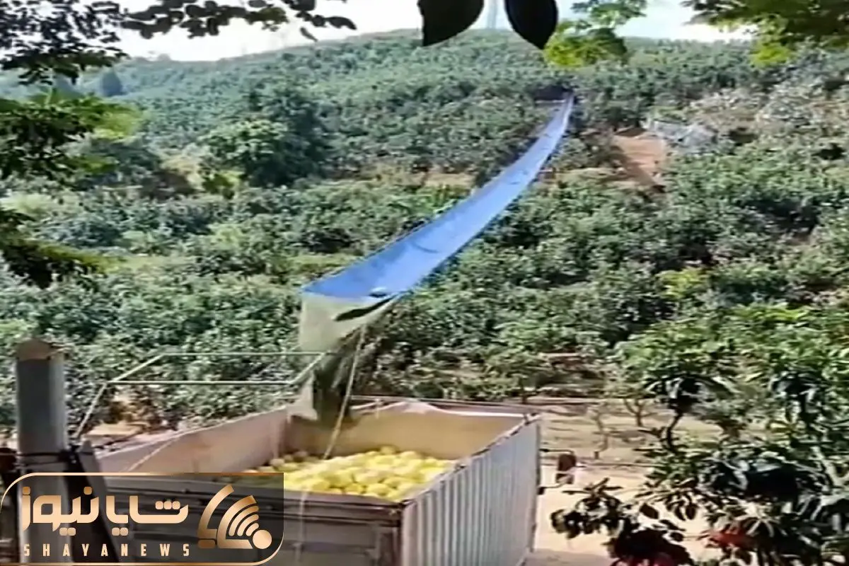 Wp Header Logo 3689.png