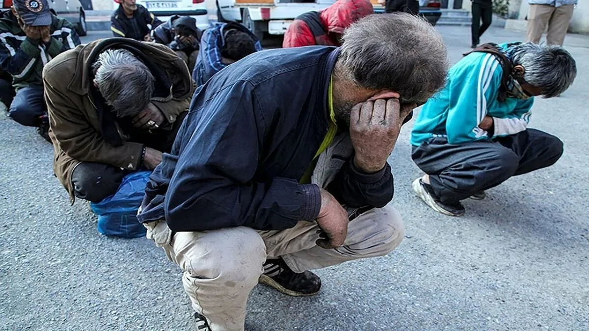 Wp Header Logo 3703.png