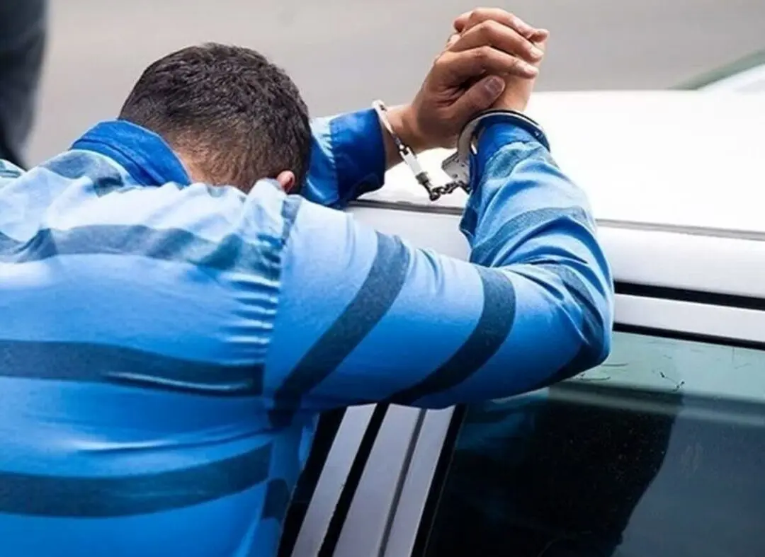 Wp Header Logo 373.png